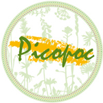 Picopoc